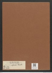 Eunotia alpina Kuetz. (de-Toni-Nr.: Genus 104, Species 3161) Zeichnungen Sammlung Grunow Mappe 03410 (Herbarium_W_Grunow_drawings_Folder_03410)